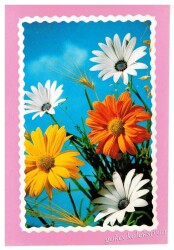 Çiçek Temalı Kartpostal KRT2960 - Gökçekoleksiyon