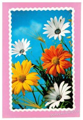 Çiçek Temalı Kartpostal KRT2960 - 1