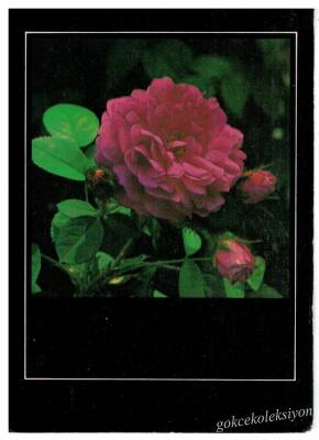 Çiçek Temalı Kartpostal KRT2963 - 1