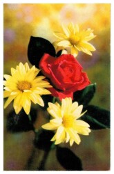 Çiçek Temalı Kartpostal KRT2964 - Gökçekoleksiyon