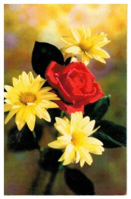 Çiçek Temalı Kartpostal KRT2964 - 1