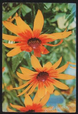 Çiçek Temalı Kartpostal KRT2989 - 1