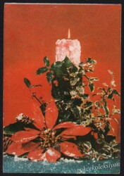 Çiçek Temalı Kartpostal KRT3019 - Gökçekoleksiyon