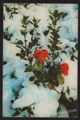 Çiçek Temalı Kartpostal KRT3030 - 1
