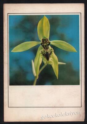 Çiçek Temalı Kartpostal KRT3039 - 1