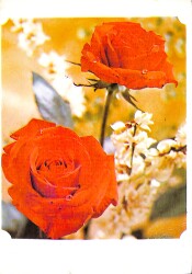 Çiçek Temalı Kartpostal (Küçük Boy) KRT21384 - Gökçekoleksiyon