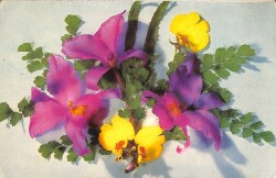 Çiçek Temalı Orta Boy Kartpostal KRT3151 - Gökçekoleksiyon