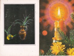 Çiçek Temalı Simli 2li Kartpostal KRT10747 - Gökçekoleksiyon