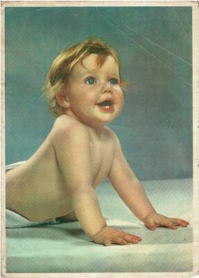 Cici Bebe Kartpostal Büyük Boy KRT5663 - 1