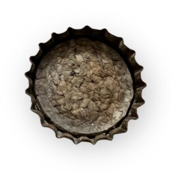 Cincibir Gazoz Kapağı CMK13-5371 - 2