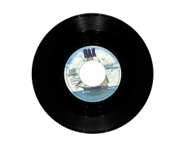 Suzi Quatro - Devil Gate Drive / In The Morning PLAK (10/7.5) PLK24271 - Gökçekoleksiyon