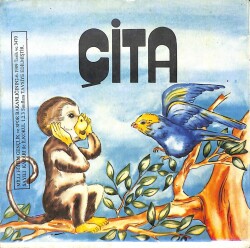 ÇİTA KTP2334 - Gökçekoleksiyon