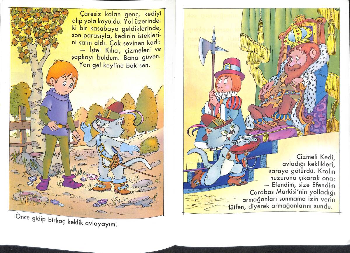 Çizmeli Kedi NDR100123 - 2