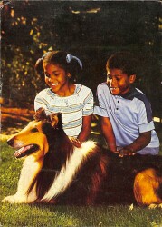 Çocuk Ve Köpek Temalı Kartpostal KRT19124 - Gökçekoleksiyon