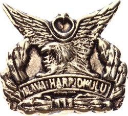 Hava Harp Okulu (HHO) Resmi Kurumsal İkonografili Yaka Rozeti (c. 1970-1990) RZT1827 - Gökçekoleksiyon