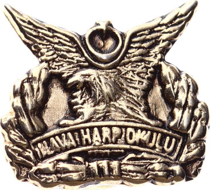 Hava Harp Okulu (HHO) Resmi Kurumsal İkonografili Yaka Rozeti (c. 1970-1990) RZT1827 - 1
