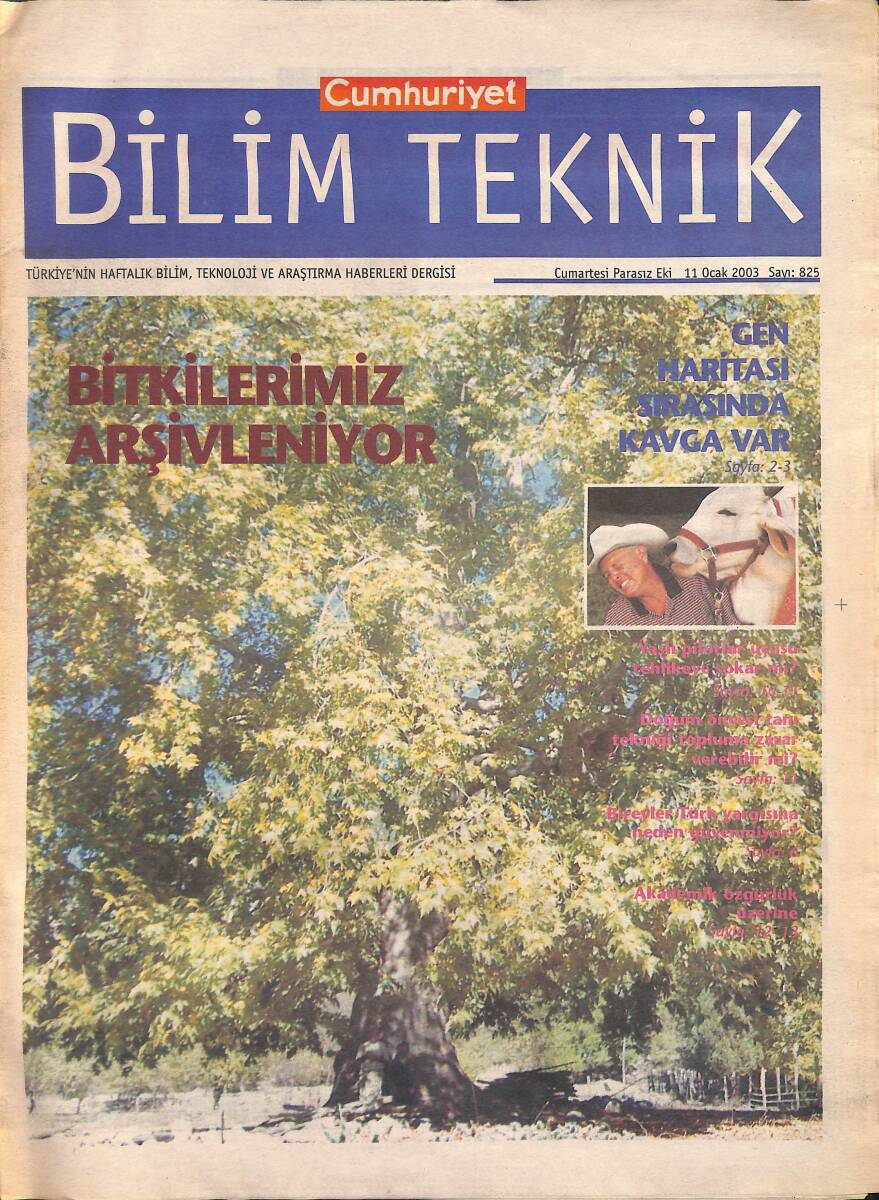 Cumhuriyet Gazetesi Bilim Teknik Eki 11 Ocak 2003 - İnsanlardan Alınan Kök Hücreleriyle Sağlıklı Böbrek Üretildi - Gen Haritası Sırasında Kavga Var GZ137729 - 1