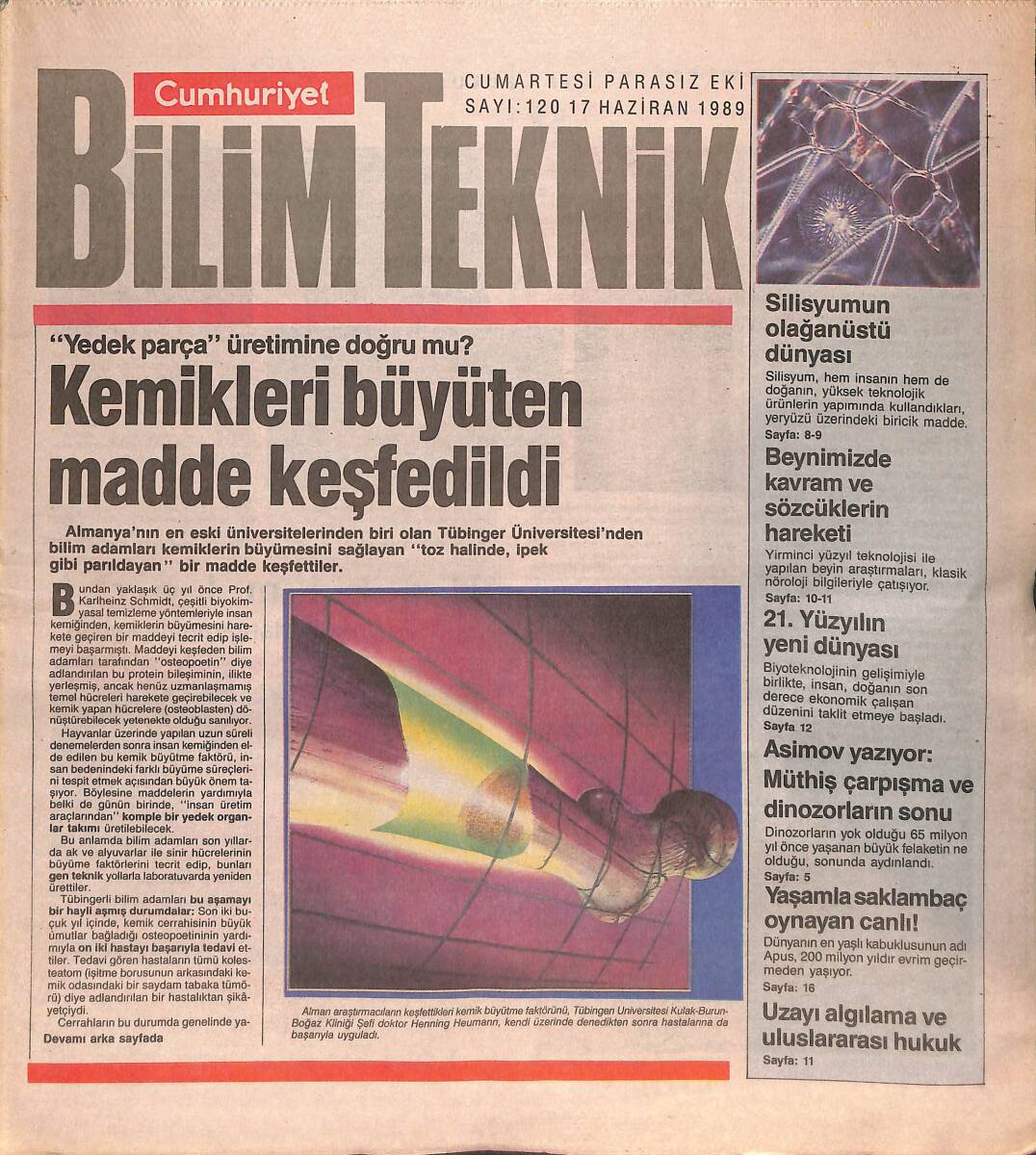 Cumhuriyet Gazetesi Bilim Teknik Eki 17 Haziran 1989 - Kemikleri Büyüten Madde Bulundu - Asimov Yazıyor: Büyük Çarpışma ve Dinozorların Sonu GZ137330 - 1