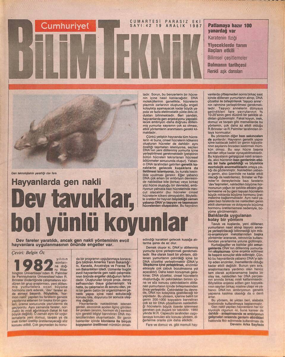 Cumhuriyet Gazetesi Bilim Teknik Eki 19 Aralık 1987 - Hayvanlarda Gen Nakli - Patlamaya Hazır Yanardağ Var - Balığa Öykünen İnsan GZ137364 - 1
