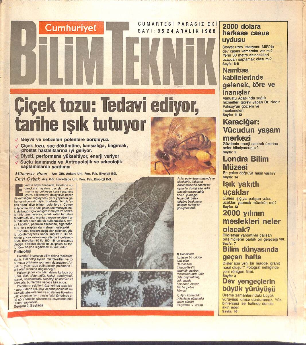 Cumhuriyet Gazetesi Bilim Teknik Eki 24 Aralık 1988 - Çiçek Tozu: Tedavi Ediyor, Tarihe Işık Tutuyor - En Yakın Doğruya Nasıl Varılır? GZ137428 - 1