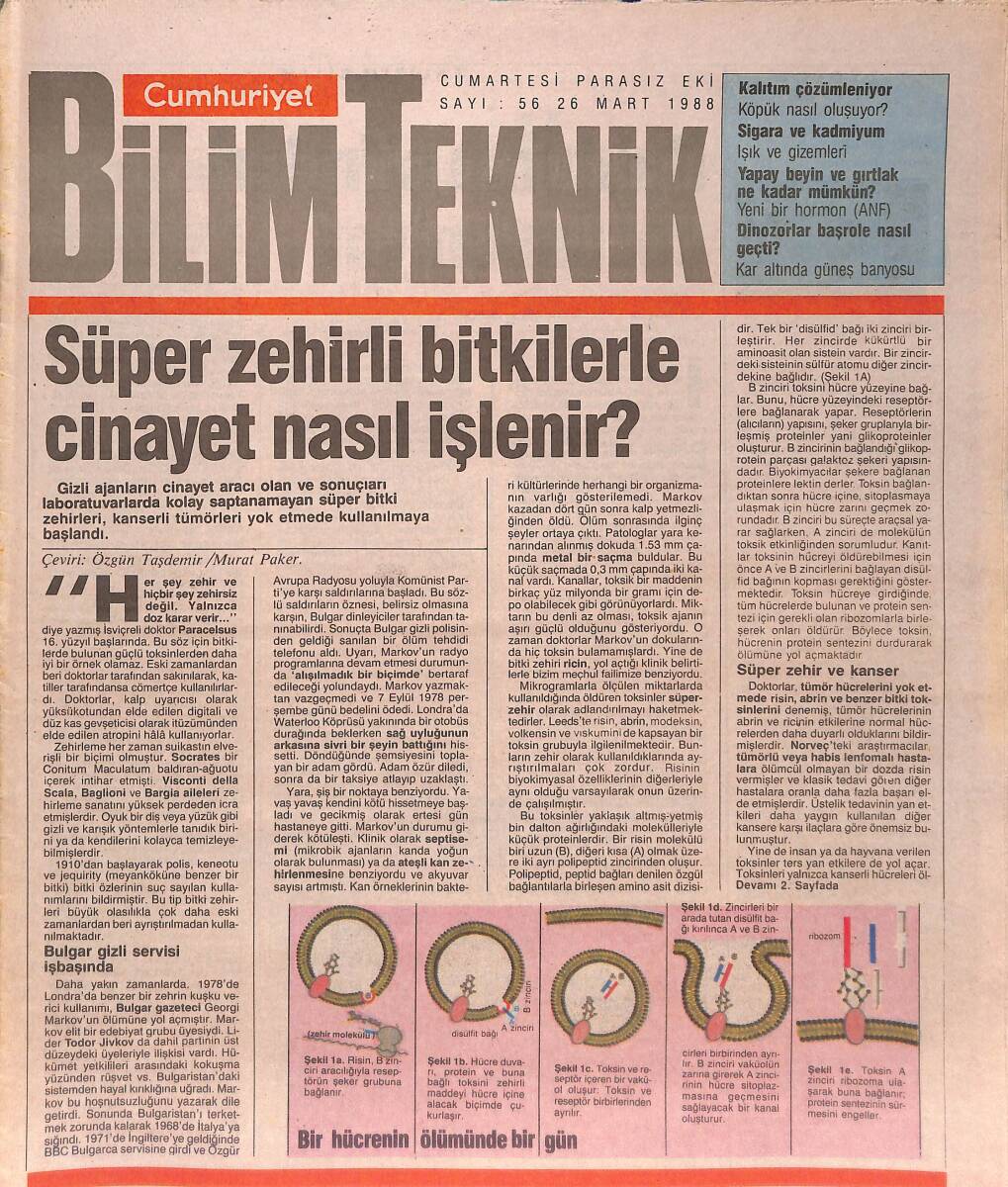 Cumhuriyet Gazetesi Bilim Teknik Eki 26 Mart 1988 - Süper Zehirli Bitkilerle Cinayet Nasıl İşlenir? - Yapay Beyin Ve Gırtlak Ne Kadar Mümkün? GZ137459 - 1