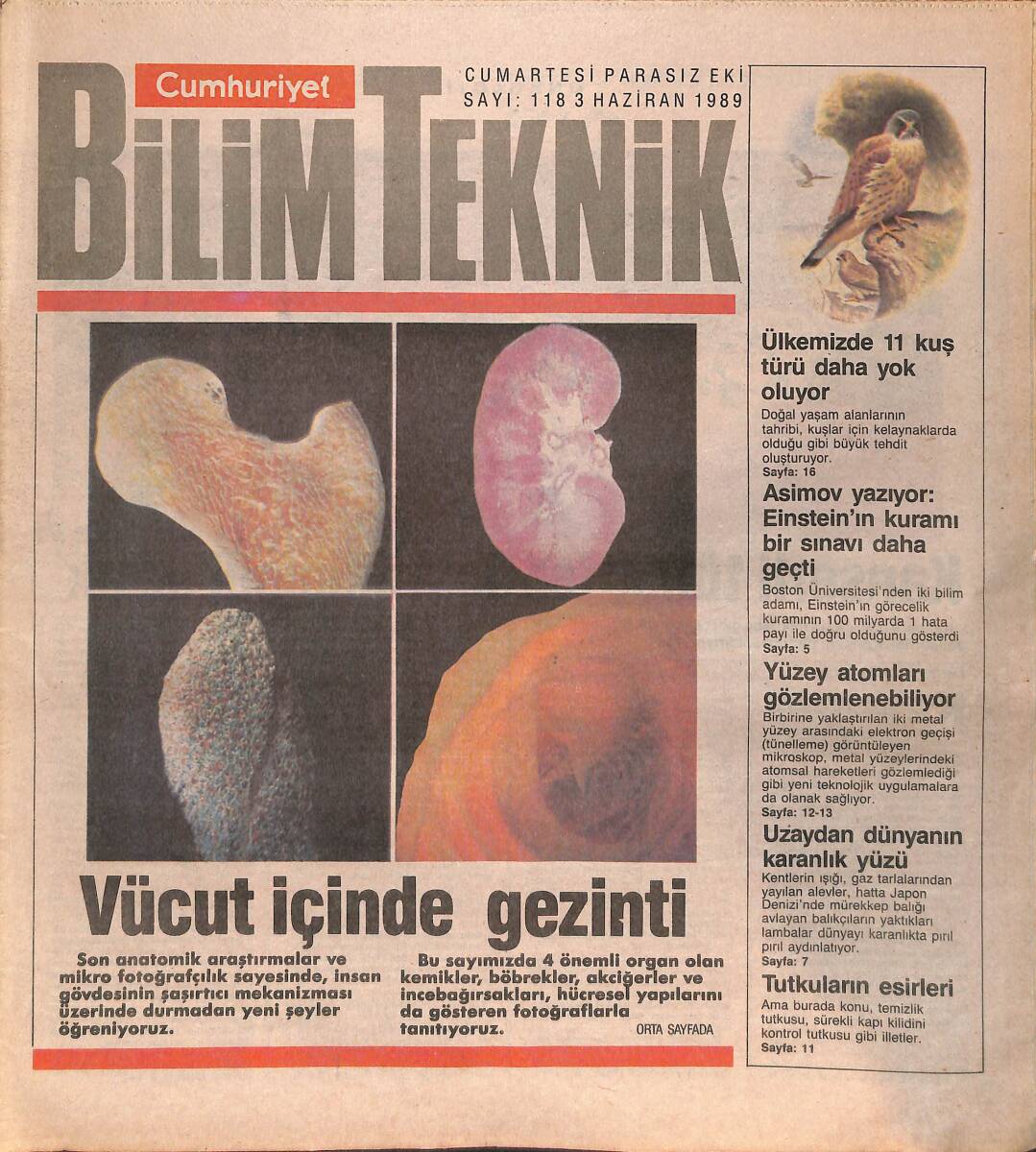 Cumhuriyet Gazetesi Bilim Teknik Eki 3 Haziran 1989 - Ülkemizde 11 Kuş Türü Daha Yok Oluyor - Uzaydan Dünya'nın Karanlık Yüzü GZ137328 - 1