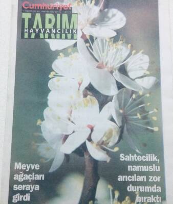 Cumhuriyet Gazetesi Tarım Eki 14 Haziran 2005 - Sahtecilik Namuslu Arıcıları Zor Durumda Bıraktı GZ41493 - 1