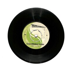 Sami Kasap - Hasta Düştüm Gurbet Elde / O Kara Gözlere Leylam PLAK (10/7) PLK25747 - Gökçekoleksiyon