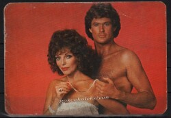 David Hasselhoff Kartpostal KRT3518 - Gökçekoleksiyon