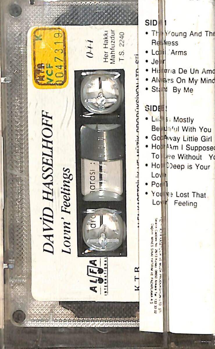 David Hasselhoff - Lovin Feelings Kaset (İkinci El Kaset) KST29771 - 2
