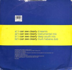 Deborah Harry – I Can See Clearly 1993 House (109) PLK17428 - 2
