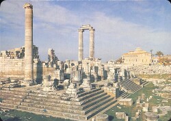 Didim Kartpostal KRT4114 - Gökçekoleksiyon