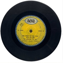 Dilek Tunca - Baş Serçe İle Bay Tilki (107) PLK10823 - 1
