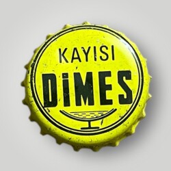 DİMES Kayısı Gazoz Kapağı CMK1362 - Gökçekoleksiyon