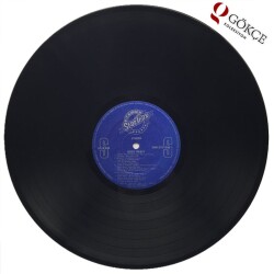 Disco Frenzy - 15 Red Hot Hits LP PLAK PLK1195 - 2