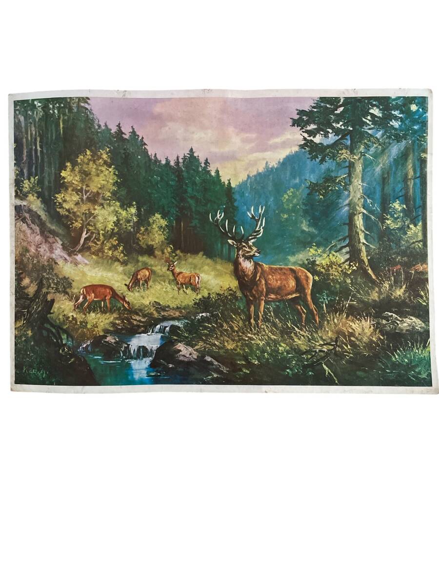 Doğa Temalı Kartpostal (Ultra Dev Boy) KRT24047 - 1