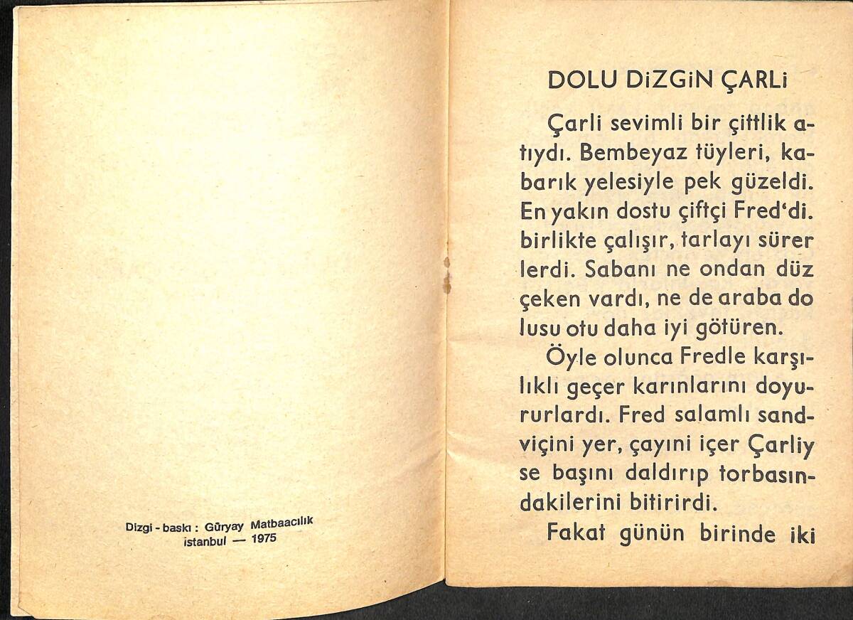 Dolu Dizgin Çarli NDR100117 - 2