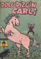 Dolu Dizgin Çarli NDR100117 - 4