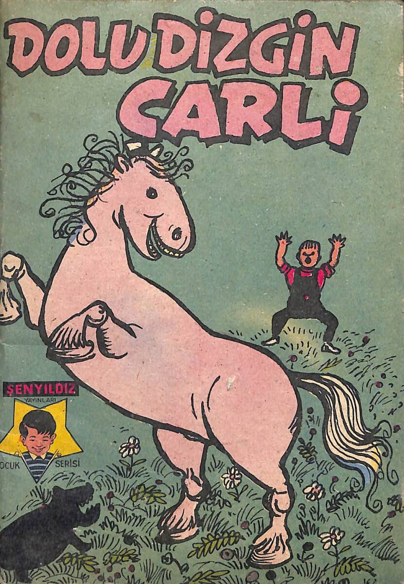 Dolu Dizgin Çarli NDR100117 - 4