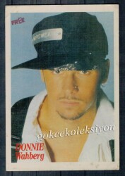 Donnie Wahberg Kartpostal KRT3545 - Gökçekoleksiyon