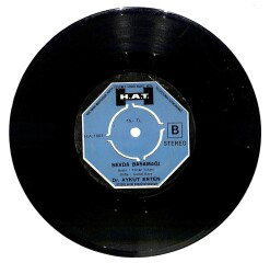 Dr.Aykut Erten - Islak Öp Beni / Sevda Basamağı Plak (10/6.5) PLK21227 - 2