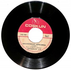 Şükran Ay - Aldılar Seni Elimden / Kahverengi Gözlerin PLAK (10/6) PLK24904 - Gökçekoleksiyon