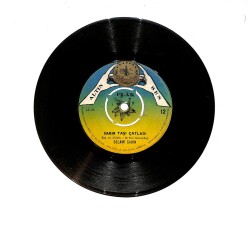 Selami Şahin - Aşkın Kanunu Olurmu / Sabır Taşı Çatladı PLAK (10/7.5) PLK24629 - Gökçekoleksiyon
