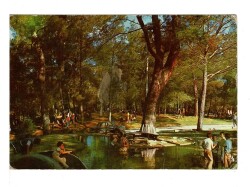 Düzlerçamı Orman Parkı Eski Kartpostal KRT3383 - Gökçekoleksiyon