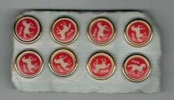 DYP Temalı Rozet AKS132 - Gökçekoleksiyon