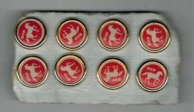 DYP Temalı Rozet AKS132 - 1