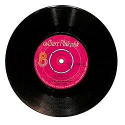 Edip Akbayram - Dostlar – Garip & Kaşların Karasına Plak (10/6) PLK26861 - 1