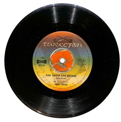 Neşet Ertaş - Kar Yağar Kar Üstüne / Zahidem Plak (10/7) *Nadir* PLK26121 - Gökçekoleksiyon