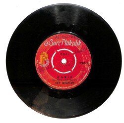 Edip Akbayram - Garip / Kaşların Karasına Plak (10/6.5) PLK26120 - 1