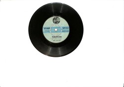 Ercanlar - Vasiyetname / Karı Koca Kavgası PLAK (10/5.5) PLK25656 - Gökçekoleksiyon